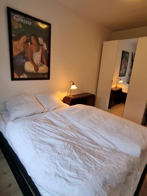 Paen Central Lejlighed Med Gratis Parkering Randers Buitenkant foto