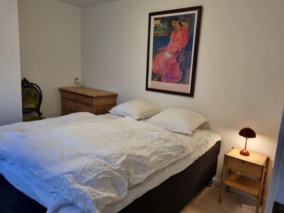 Paen Central Lejlighed Med Gratis Parkering Randers Buitenkant foto